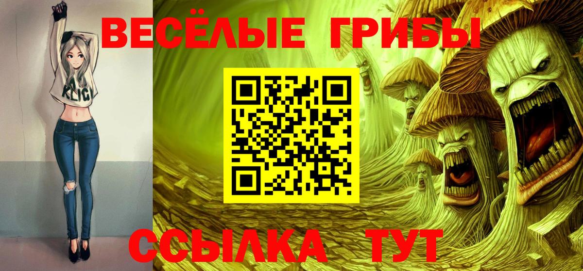 Каменка  Псилоцибиновые грибы MAGIC MUSHROOMS  купить   Галлюциногенные грибы GOLDEN TEACHER  Вход с VPN 
