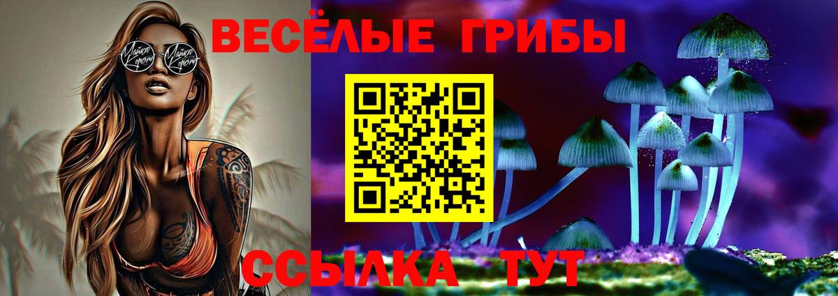 Псилоцибиновые грибы Cubensis Каменка