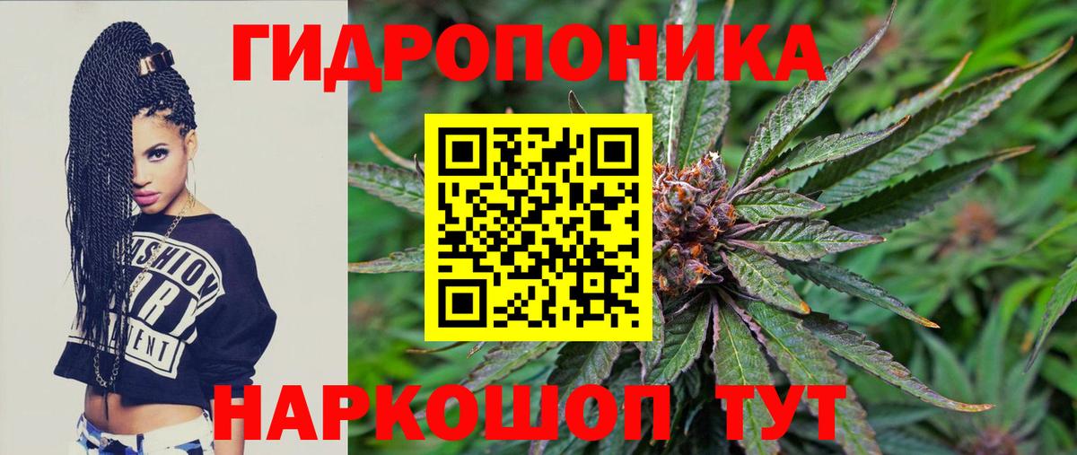 Шишки марихуана Amnesia Каменка